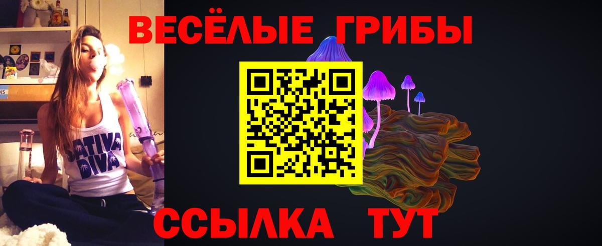 Псилоцибиновые грибы прущие грибы  Псилоцибиновые грибы MAGIC MUSHROOMS  Кемерово  Вход с VPN 