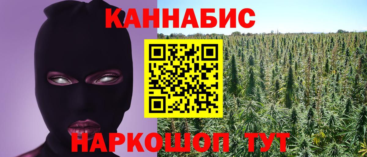 Бошки марихуана AK-47  Вход с VPN  Бошки Шишки конопля  Канабис Amnesia  Кемерово 